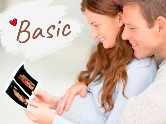 Ecografía Basic