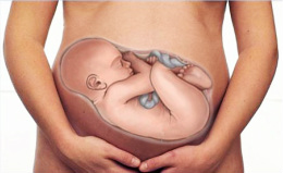 Resultado de imagen de bebes atravesados embarazo