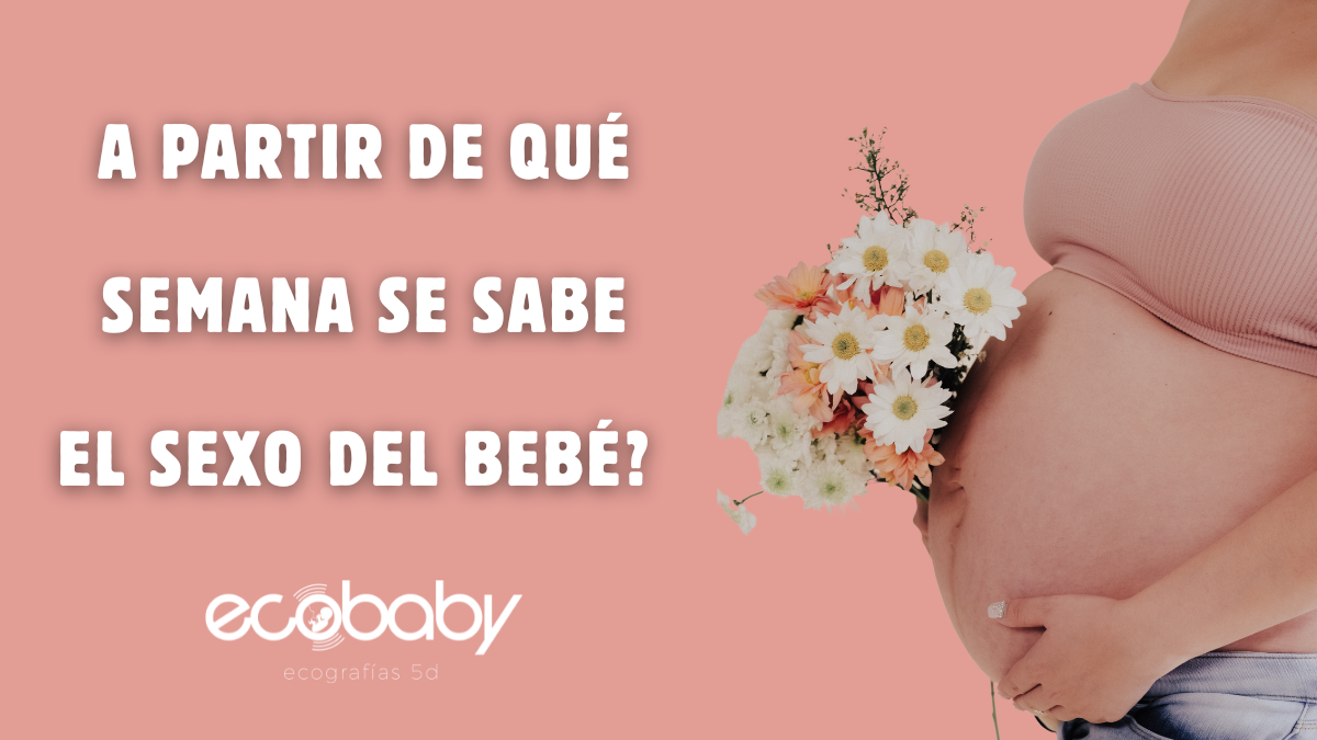 ¿A partir de qué semana se sabe el sexo del bebé? - Ecobaby